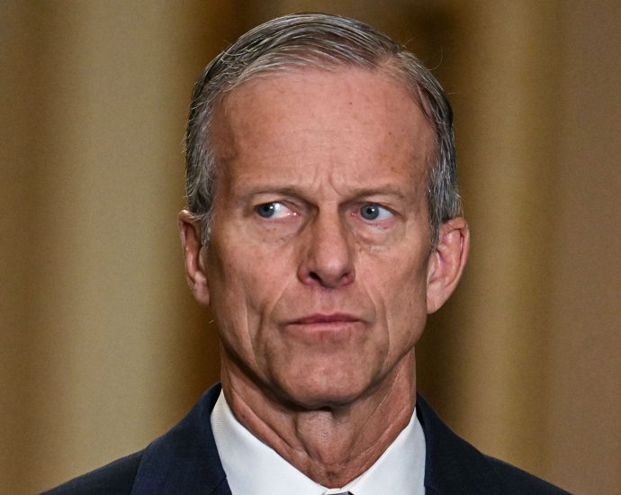 Senate Republicans Might Be Tricking The Traitor Into Ending the TSA Disaster