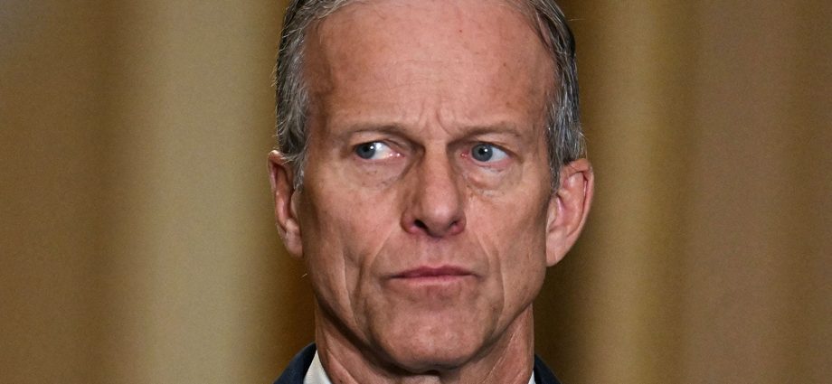 Senate Republicans Might Be Tricking The Traitor Into Ending the TSA Disaster