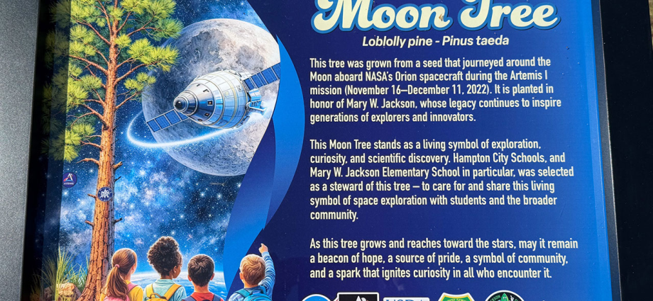 artemis-moon-tree-dedicated-in-honor-of-mary-w.-jackson