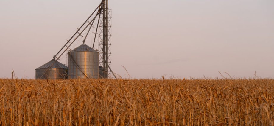 as-prices-soar,-epa-greenlights-higher-ethanol-blends-in-gasoline