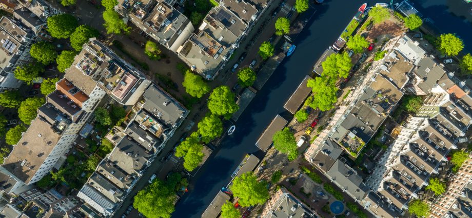 more-trees-where-they-matter,-please