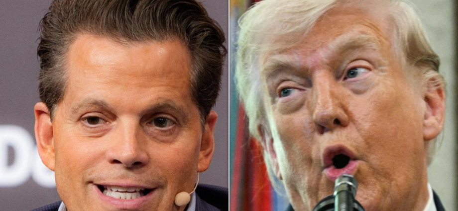 anthony-scaramucci-burns-the-traitor’s-maga-supporters-with-scathing-reality-check