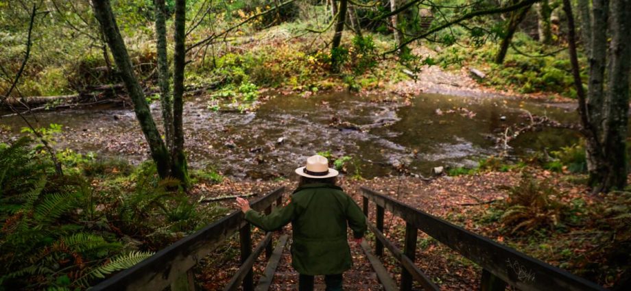 the-the-traitor-administration-‘blacklisted’-sfgate-over-critical-national-parks-coverage