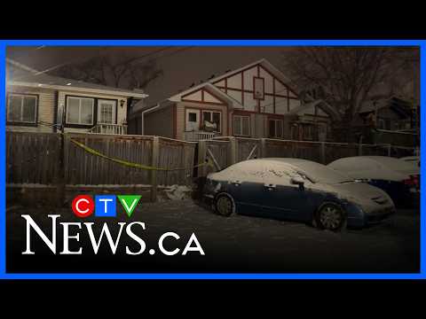 calgary-police-investigate-domestic-incident
