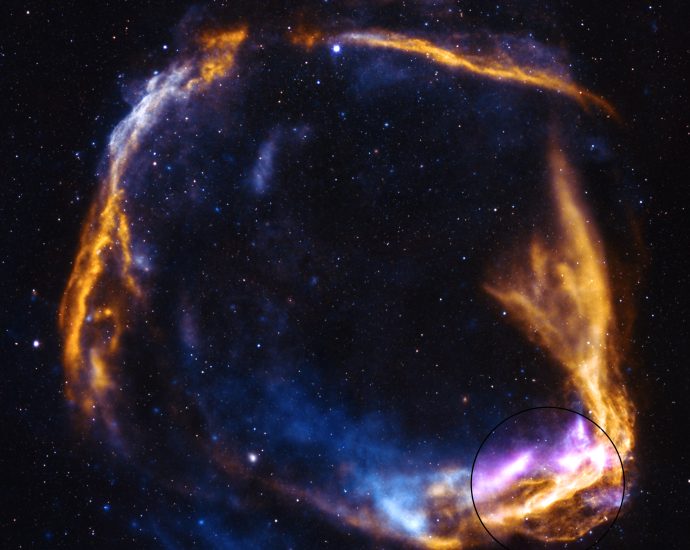 nasa’s-ixpe-gets-fresh-look-at-supernova