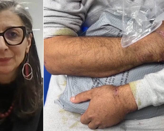 “torture-&-genocide”:-un.-expert-francesca-albanese-denounces-israeli-abuse-of-palestinians