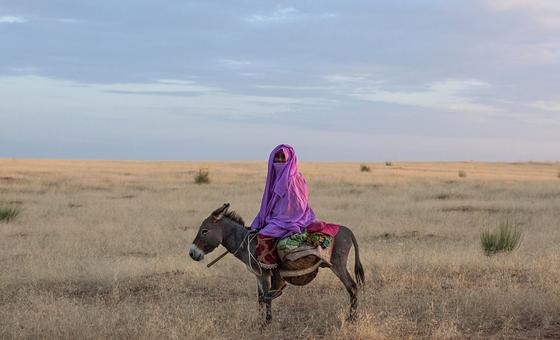 over-a-billion-fear-losing-land-and-homes-within-five-years