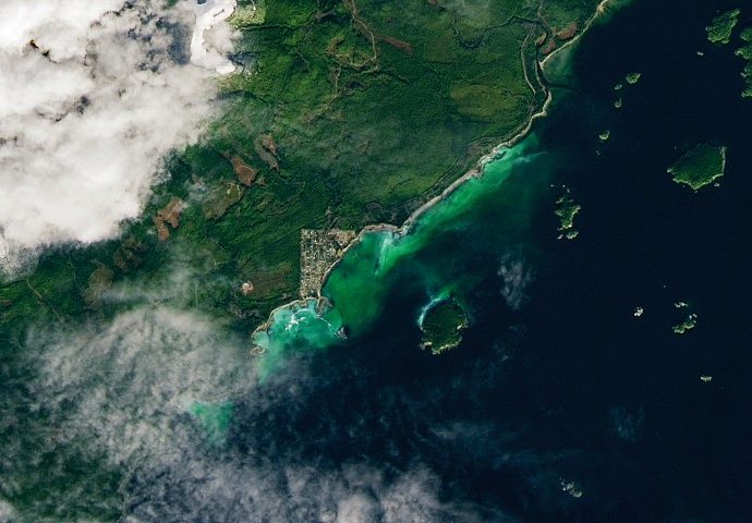 satellite-spots-a-spawn