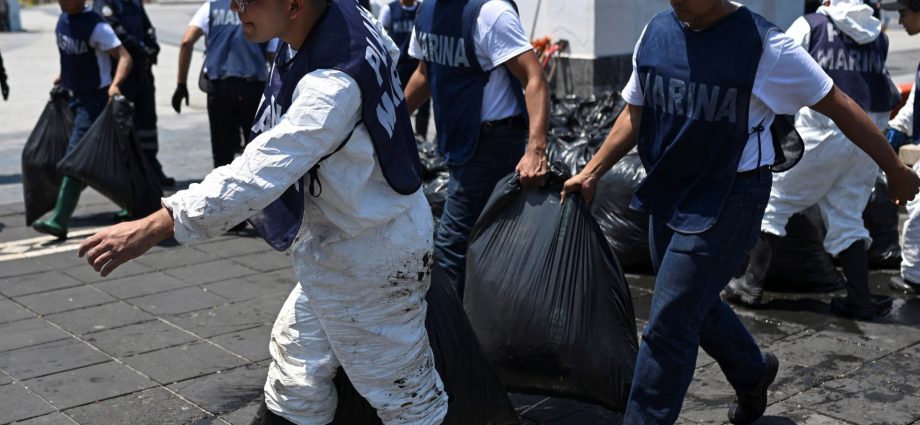 wildlife-killed,-reefs-damaged-in-‘active’-gulf-of-mexico-oil-spill