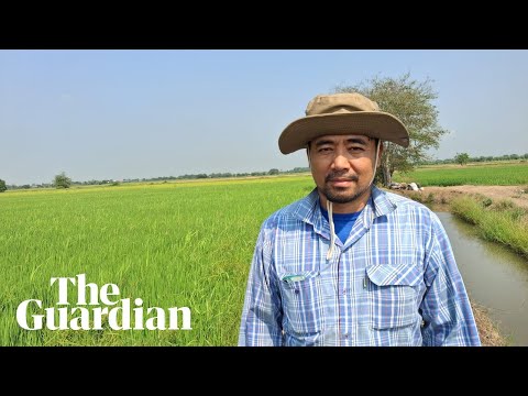 rising-petrol-prices-spell-chaos-for-thailand’s-farmers