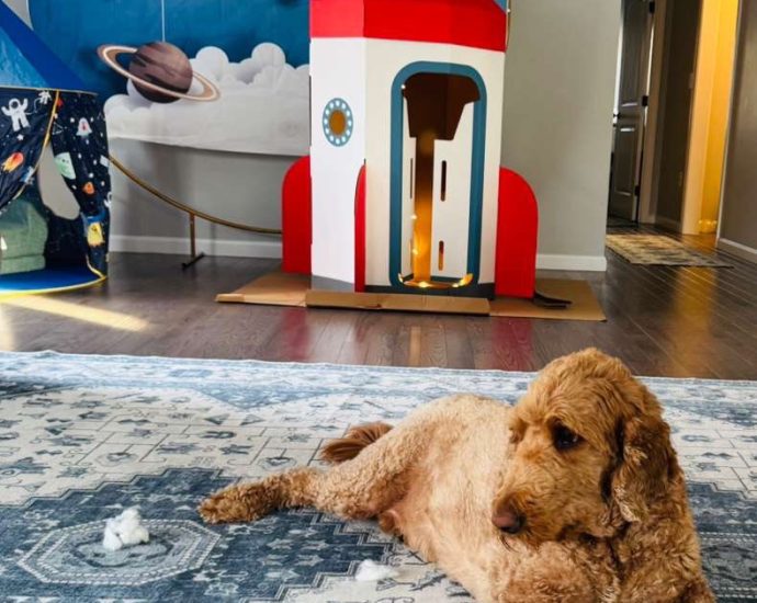 your-#nasamooncrew-for-artemis-ii!