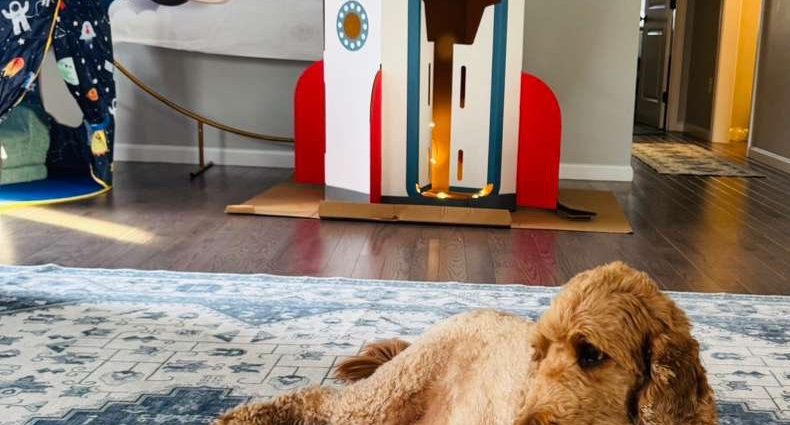 your-#nasamooncrew-for-artemis-ii!