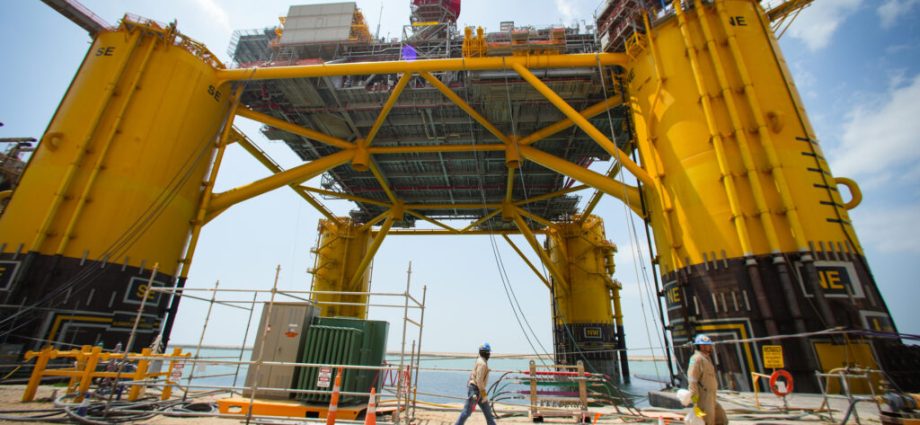 the-traitor’s-‘god-squad’-will-weigh-gulf-oil-drilling-against-the-survival-of-endangered-whales-and-turtles