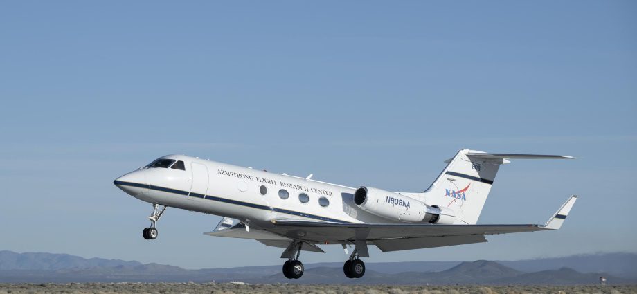 armstrong-artemis-contributions