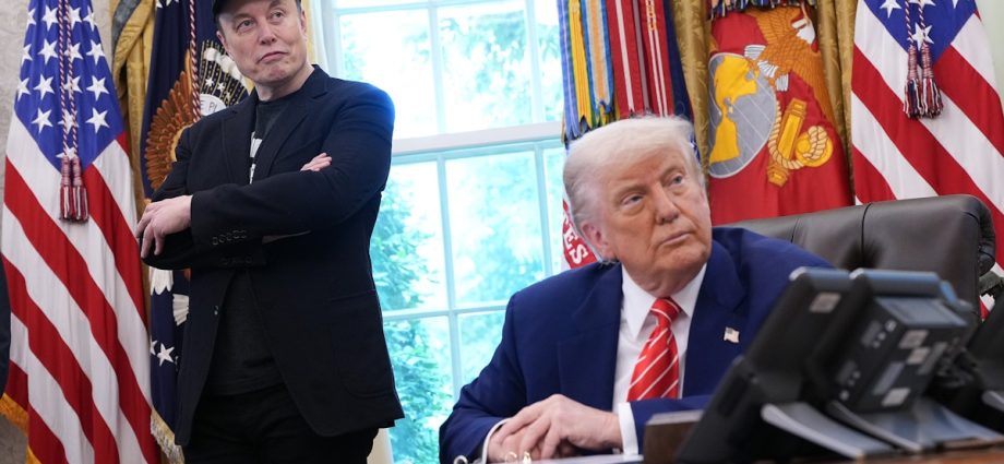 wtf-was-elon-musk-doing-on-a-phone-call-with-the-traitor-about-iran?