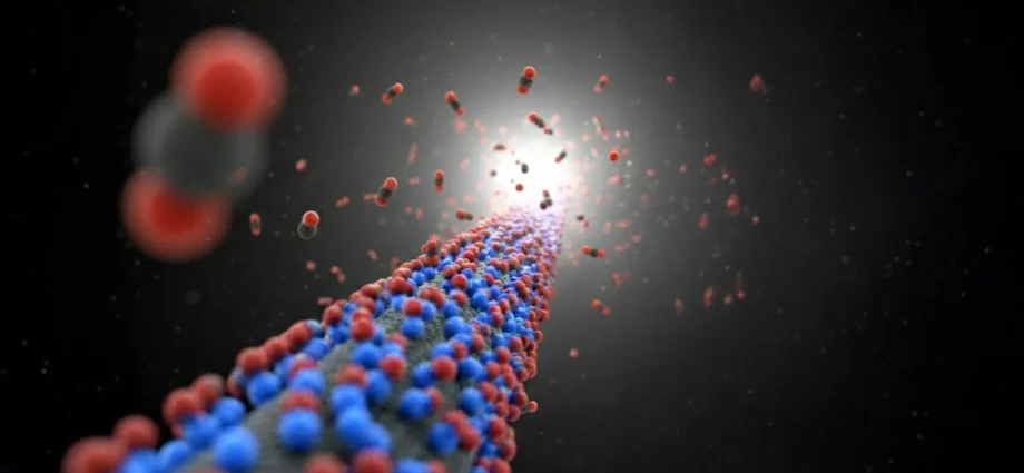 this-new-carbon-material-could-make-carbon-capture-far-more-affordable