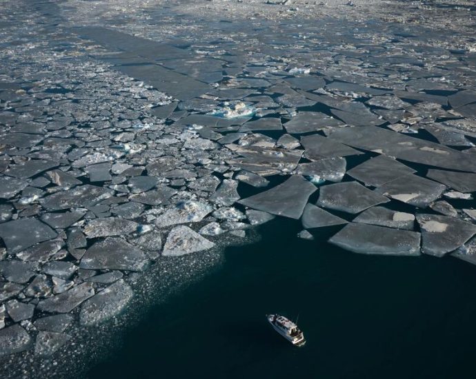 arctic-sea-ice-hits-lowest-winter-level-as-unprecedented-heat-smashes-records-all-over-earth