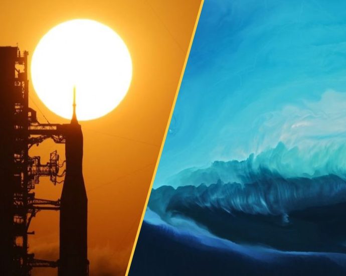 Science news this week: NASA announces nuclear rocket, space reproduction proves difficult, and why weed gives people the munchies