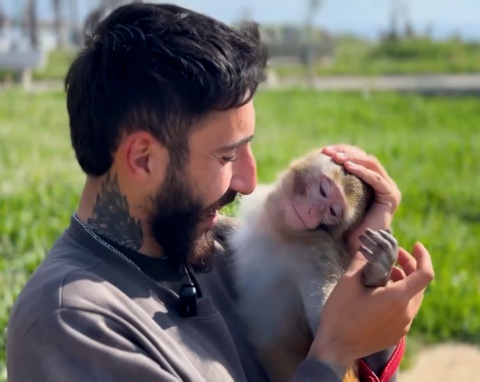 lebanese-resident-stays-behind-with-pet-monkey-despite-evacuation-orders