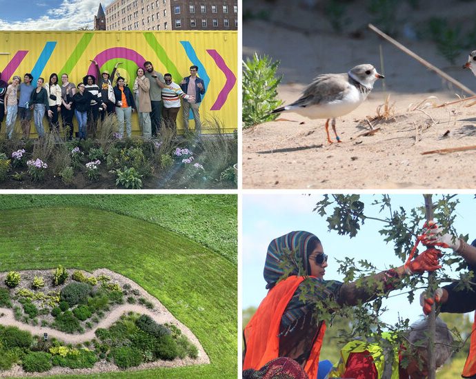 readers-share-eco-friendly-projects-happening-in-their-communities