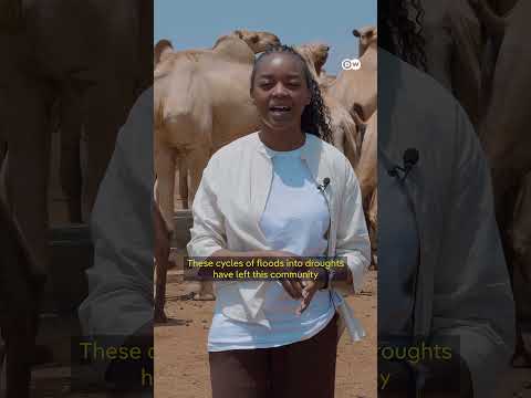 kenya:-when-the-rain-stops-|-dw-news