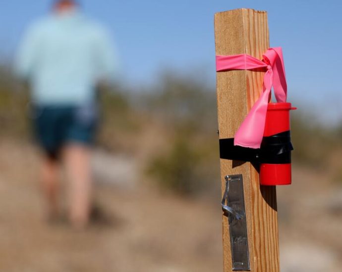 next-to-joshua-tree-national-park,-a-mining-company-is-staking-its-claim-for-rare-earth-minerals