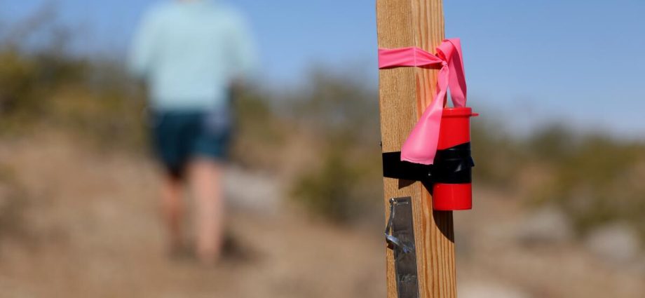 next-to-joshua-tree-national-park,-a-mining-company-is-staking-its-claim-for-rare-earth-minerals