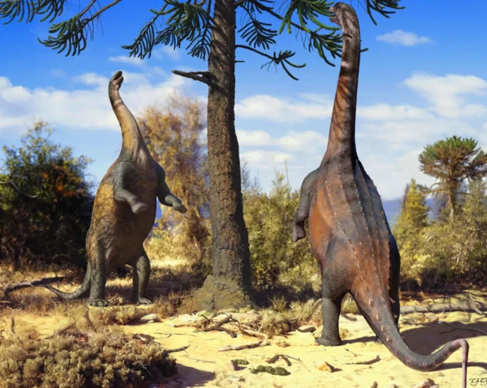 some-dinosaurs-could-rise-up-like-giants-—-until-they-grew-too-big