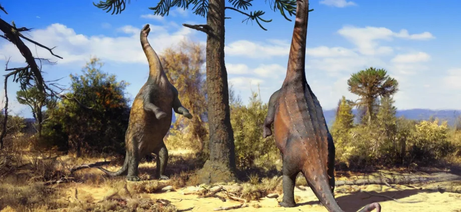 some-dinosaurs-could-rise-up-like-giants-—-until-they-grew-too-big