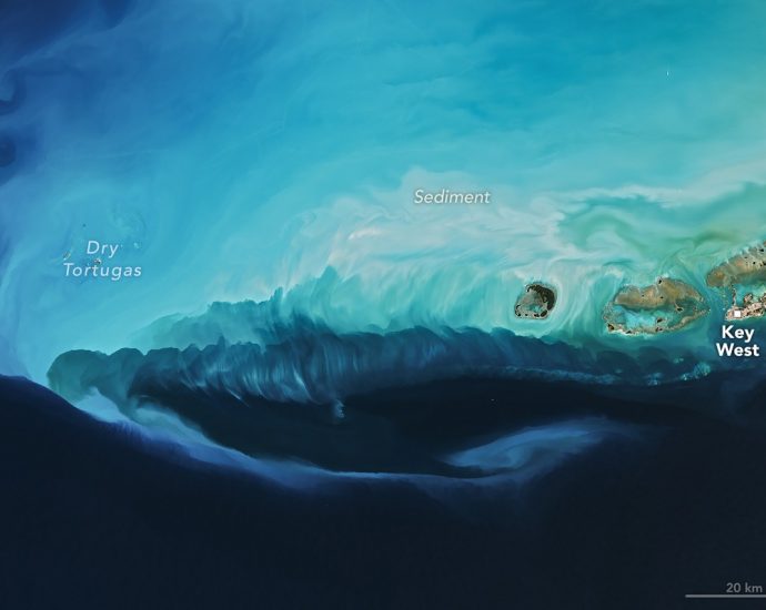 a.4-rapid-response-and-novel-research-in-earth-science-corrections