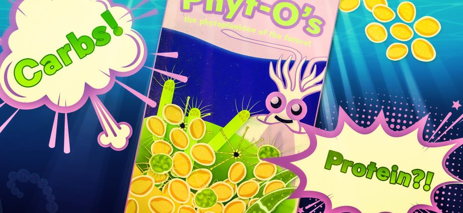 climate-change-may-produce-“fast-food”-phytoplankton