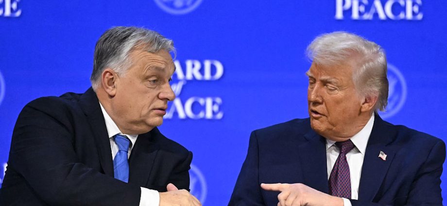 viktor-orban’s-problems-undercut-the-traitor’s-new-world-order