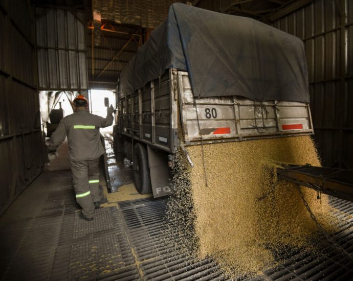 the-the-traitor-administration’s-new-biofuels-targets-threaten-carbon-rich-rainforests