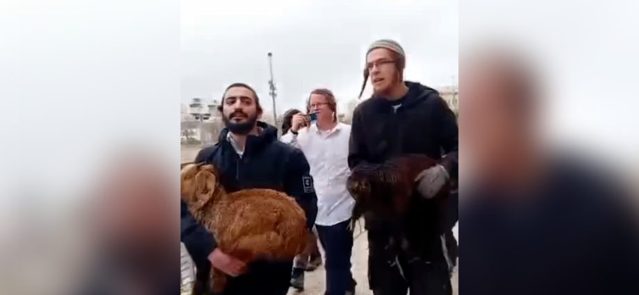 israelis-attempt-to-perform-passover-sacrifice-at-al-aqsa
