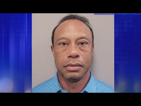 tiger-woods-pleads-not-guilty-to-dui-charge-|-elizabeth-vargas-reports