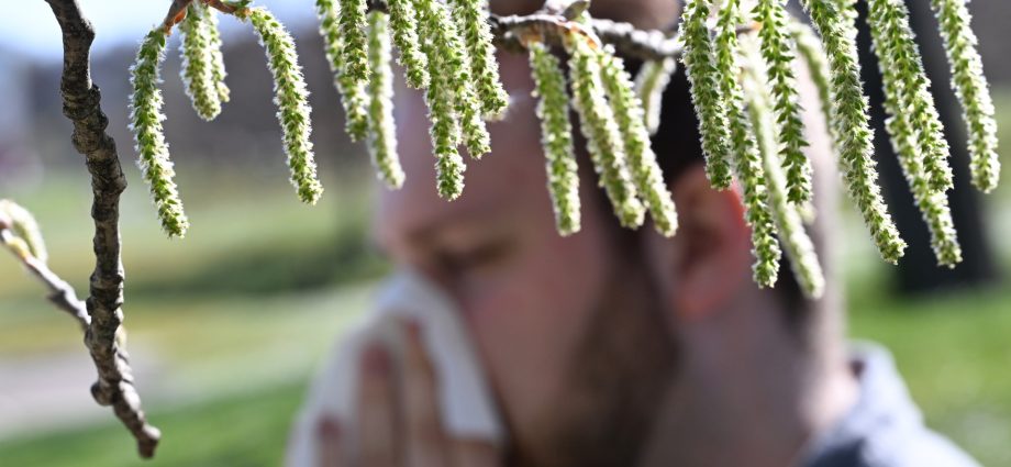 climate-change-leads-to-worsening-seasonal-allergies-…-and-maybe-even-more-suicides