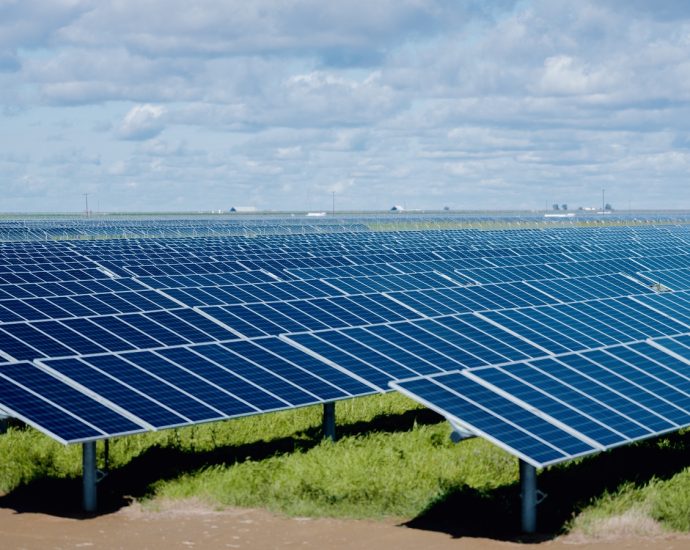 ‘We’re harvesting the sun’: A huge solar project grows in California