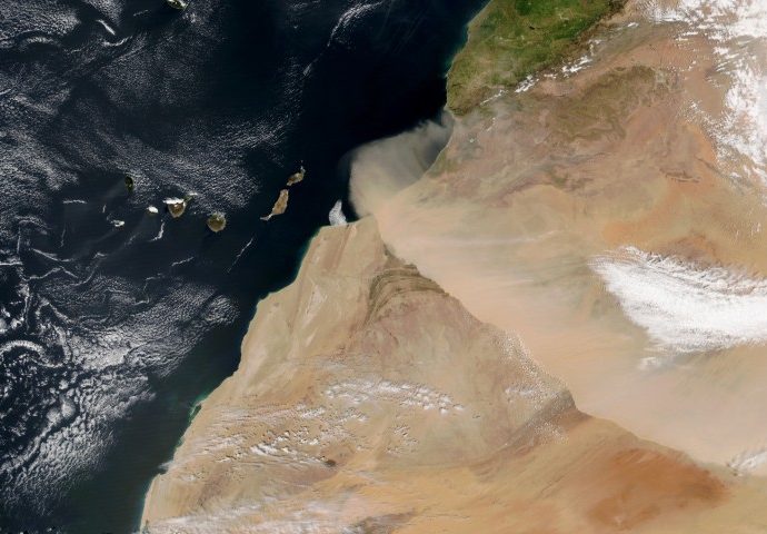 march-of-the-harmattan