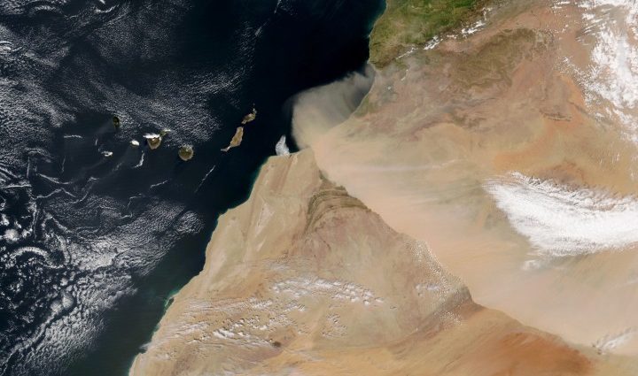 march-of-the-harmattan