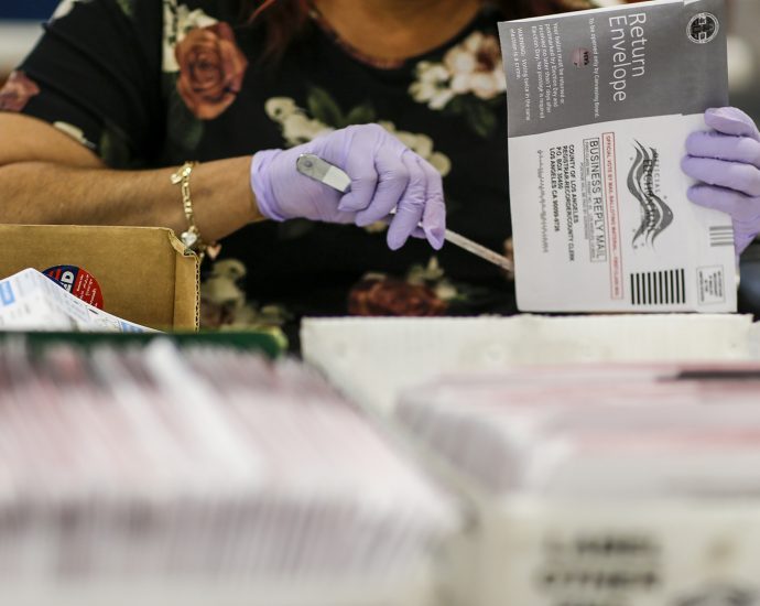 the-traitor-orders-national-voter-database-despite-constitutional-questions