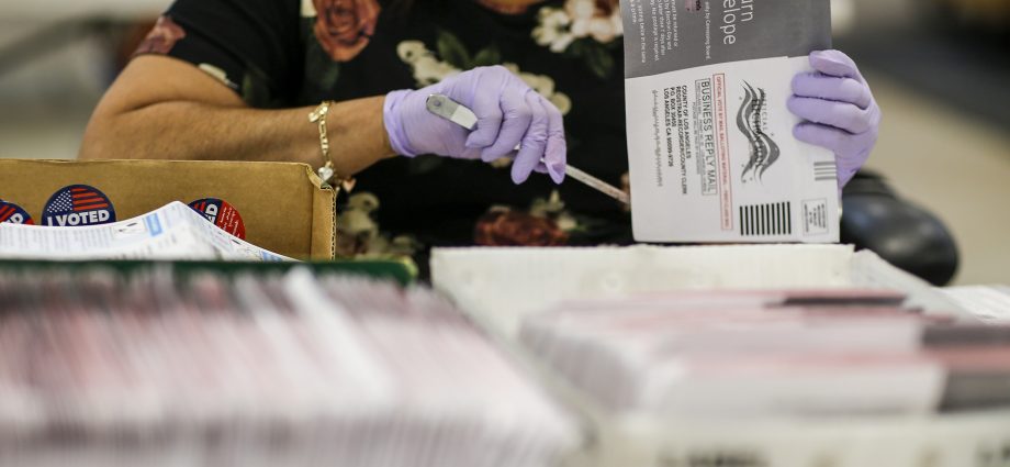 the-traitor-orders-national-voter-database-despite-constitutional-questions