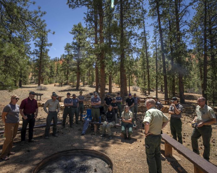 forest-service-overhaul-sows-confusion,-concern