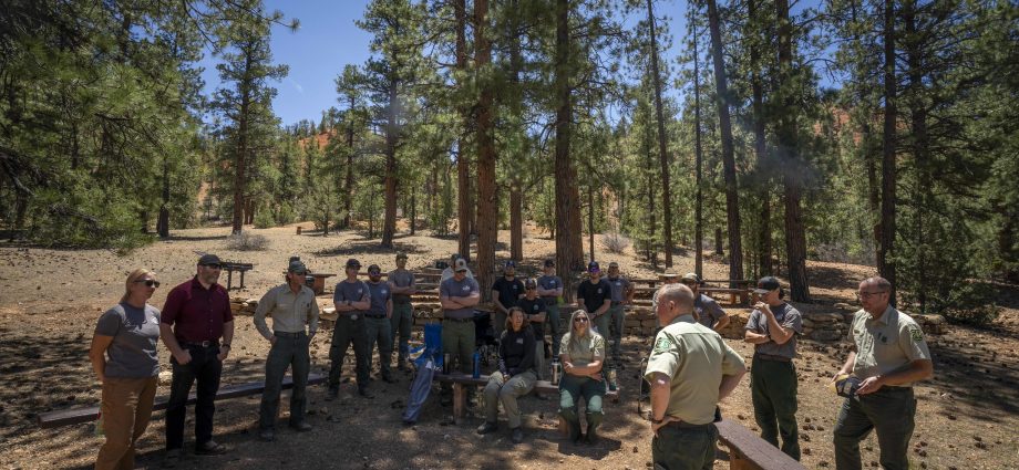 forest-service-overhaul-sows-confusion,-concern