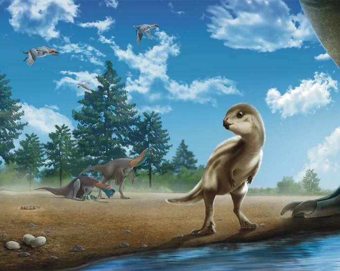 scientists-found-a-baby-dinosaur-hidden-in-rock-and-it-is-surprisingly-cute