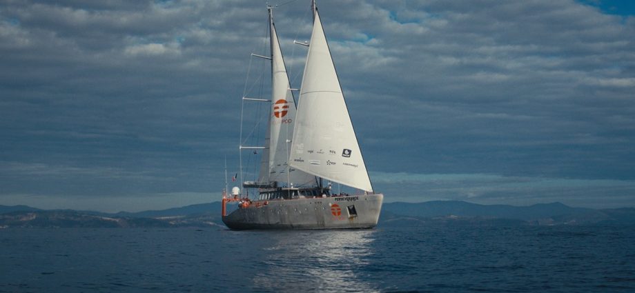 sailing-for-science:-a-50-day-mission-to-study-the-southern-ocean  