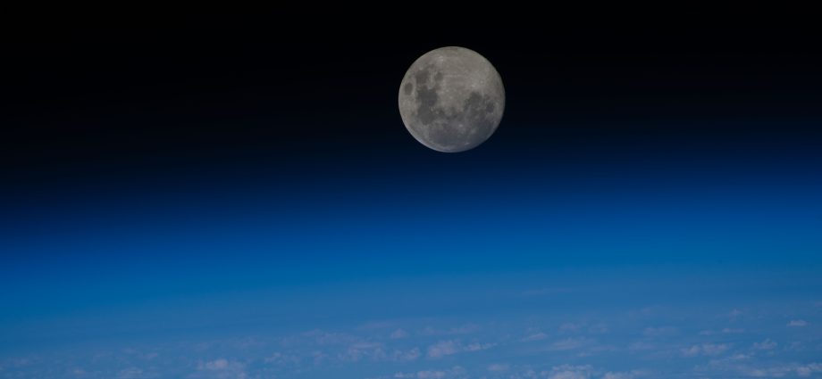 station-crew-works-robotics,-research-as-artemis-ii-launch-preps-continue