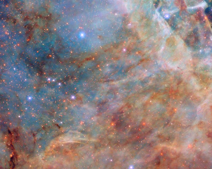 ames-partnerships-office-annual-report-2025