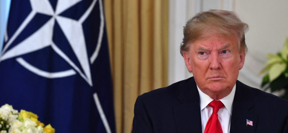 “they-weren’t-there-for-us”:-the-traitor-vows-to-leave-nato-after-allies-refuse-to-enter-iran-war