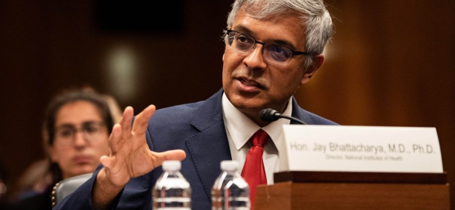 CDC’s Acting Chief Promises a Return to Stability in a Tumultuous Moment