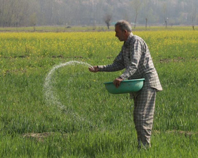 ‘it-all-depends-on-the-crop’:-gulf-crisis-hits-south-asia-farmers